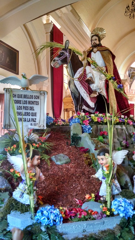 Foto: Procesión de Domingo de Ramos 2018 - Tegucigalpa (Francisco Morazán), Honduras