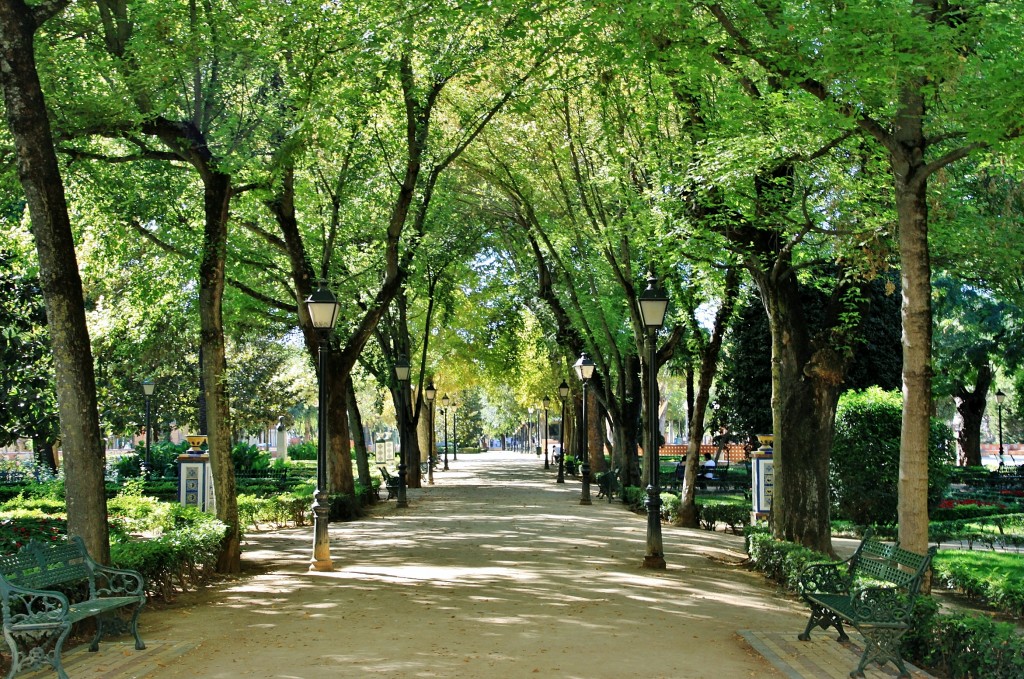 Foto: Jardín del Prado - Talavera de la Reina (Toledo), España