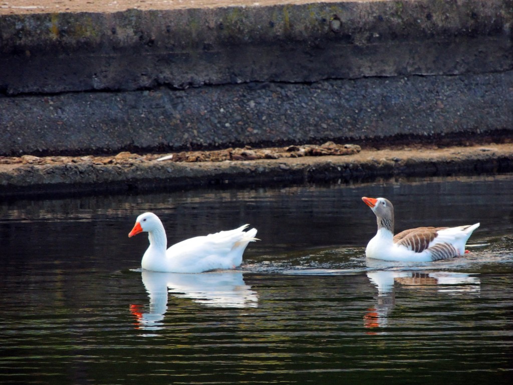 Foto de Hornachuelos (Córdoba), España