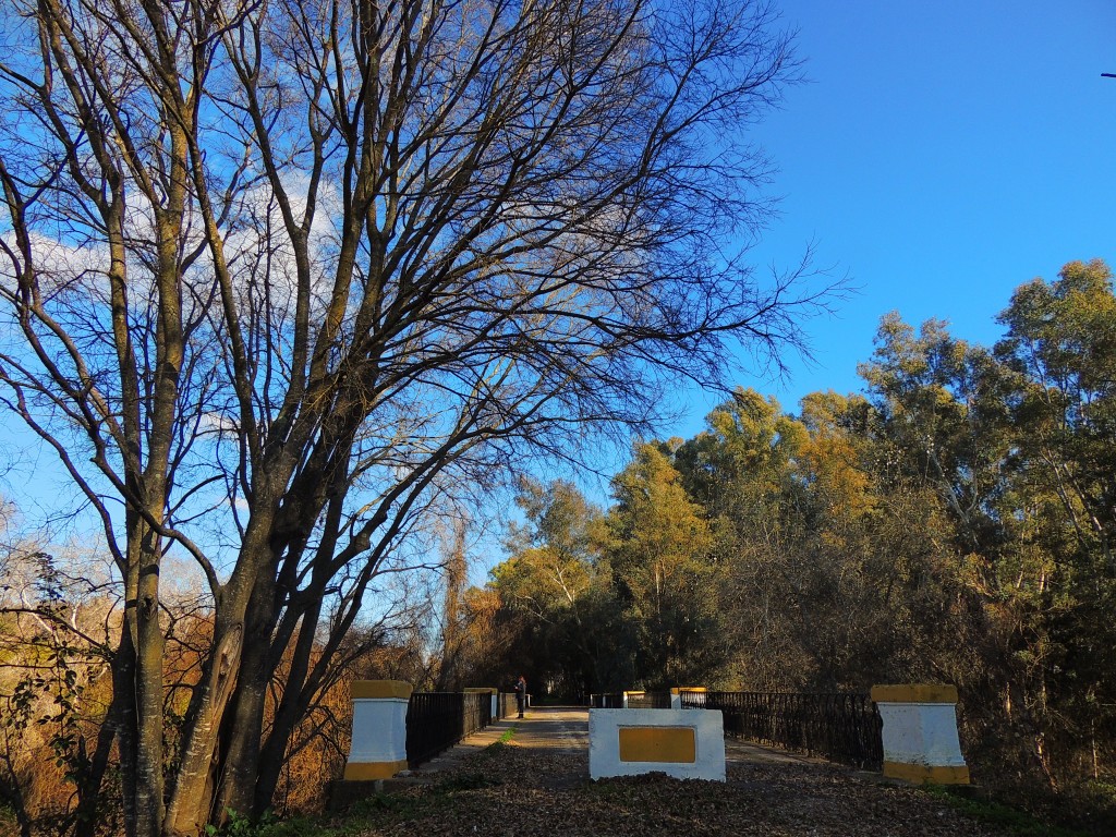 Foto de Hornachuelos (Córdoba), España