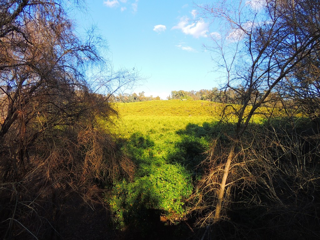 Foto de Hornachuelos (Córdoba), España