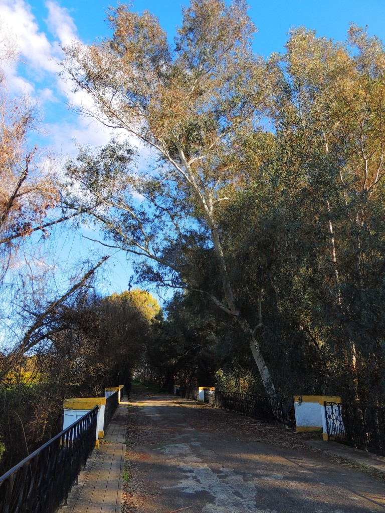 Foto de Hornachuelos (Córdoba), España