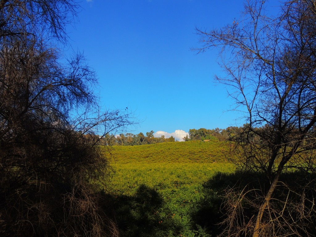 Foto de Hornachuelos (Córdoba), España