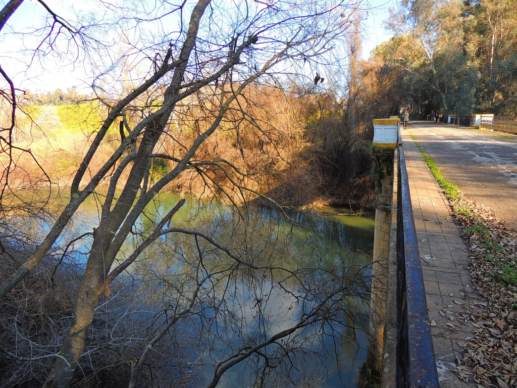 Foto de Hornachuelos (Córdoba), España