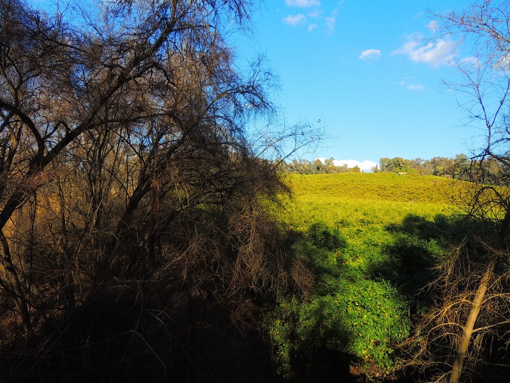 Foto de Hornachuelos (Córdoba), España
