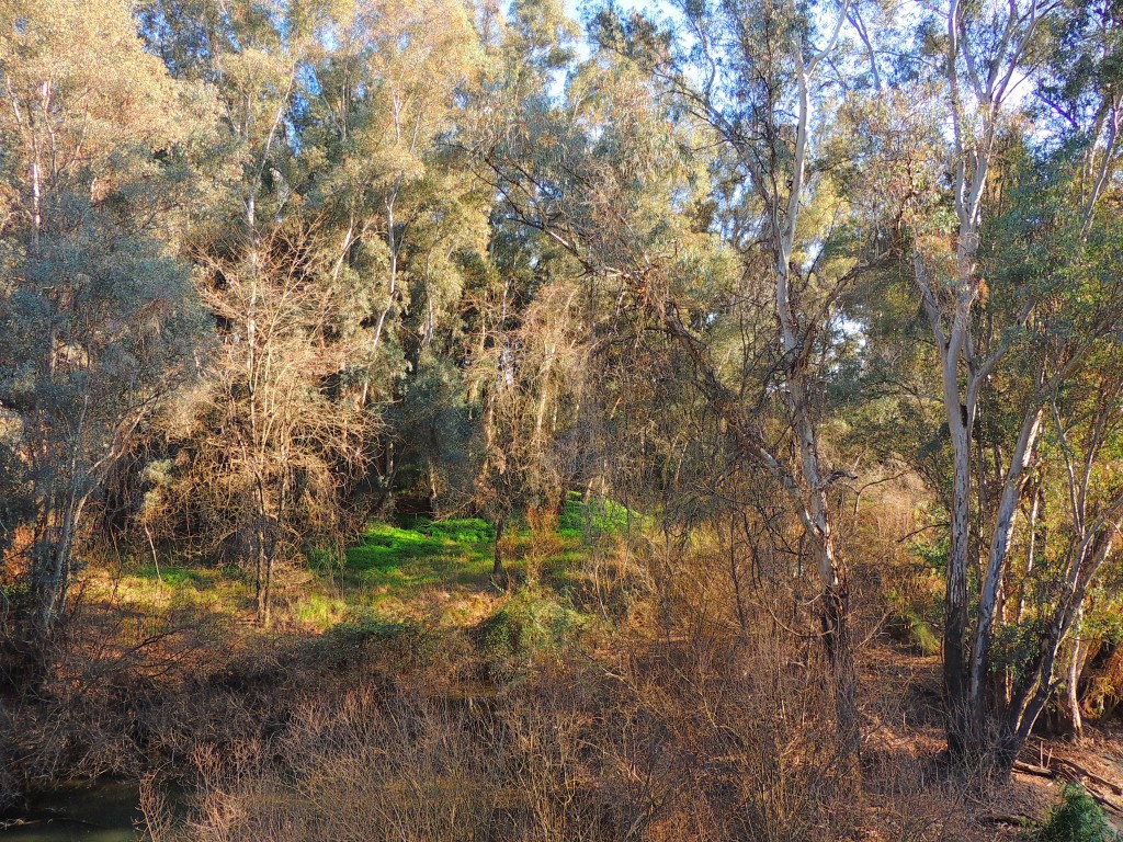 Foto de Hornachuelos (Córdoba), España