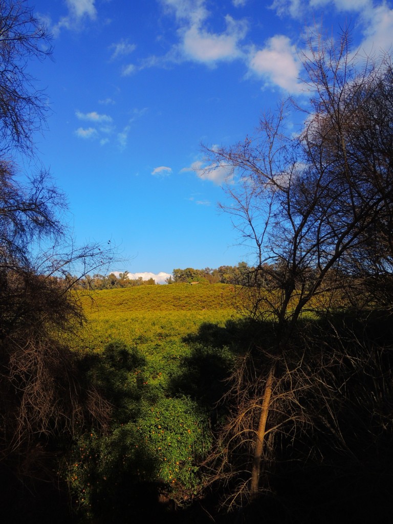 Foto de Hornachuelos (Córdoba), España