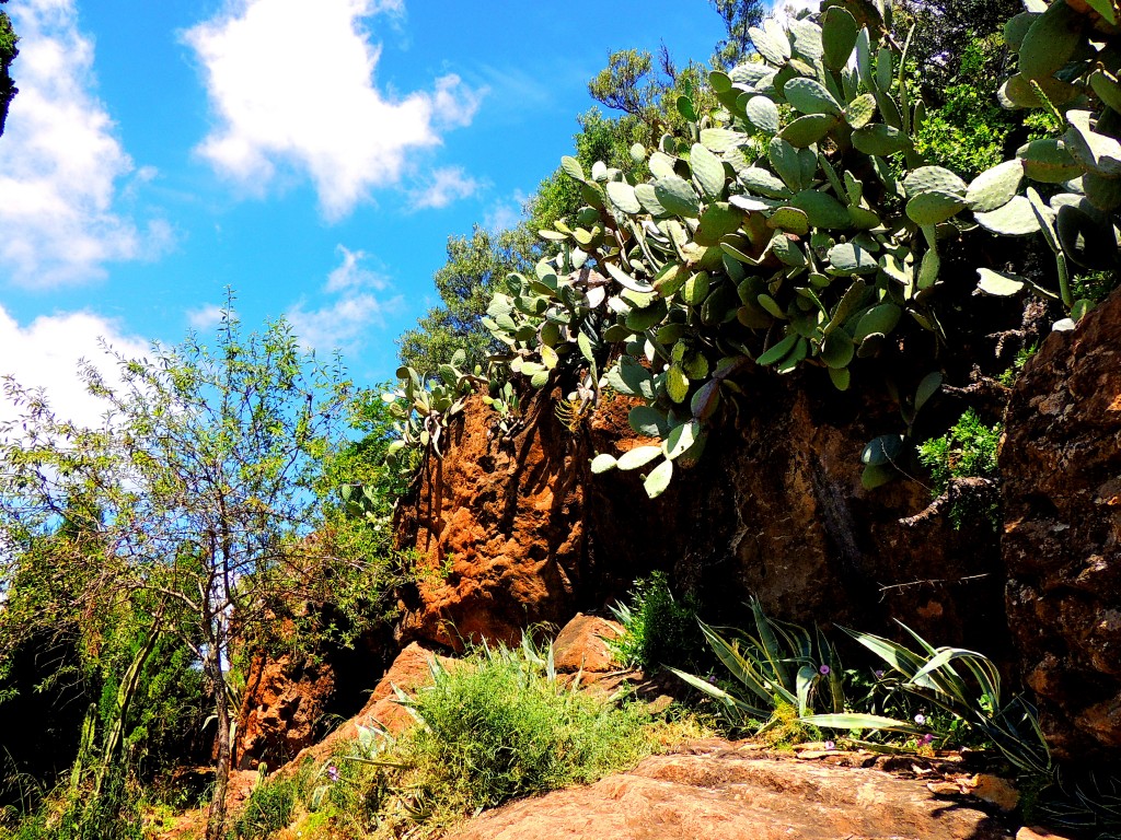 Foto de Las Ermitas (Córdoba), España