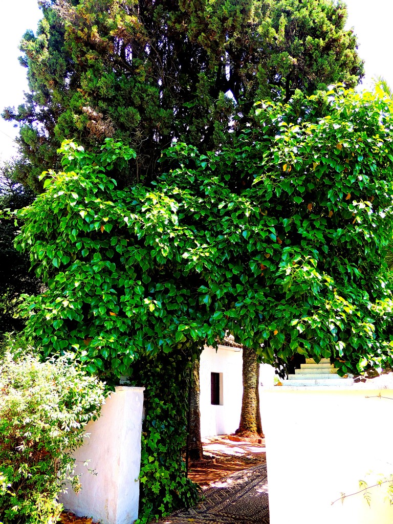 Foto de Las Ermitas (Córdoba), España