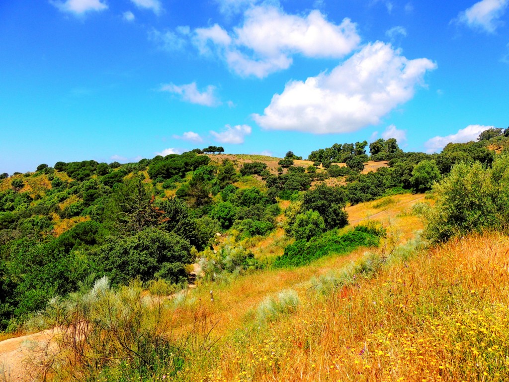 Foto de Las Ermitas (Córdoba), España