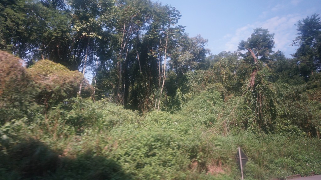 Foto: Rio De Janeiro - Rio De Janeiro (Rio de Janeiro), Brasil