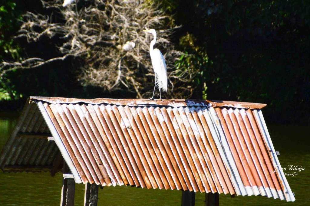 Foto de Alajuela, Costa Rica