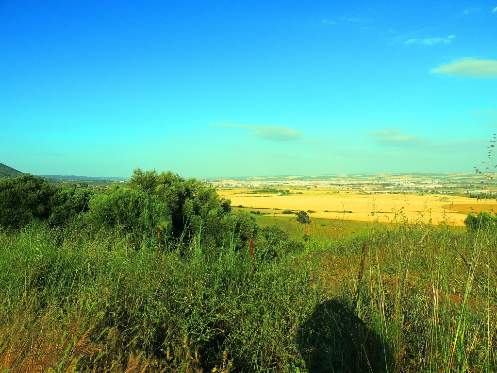 Foto de Medinat Al-Zahara (Córdoba), España