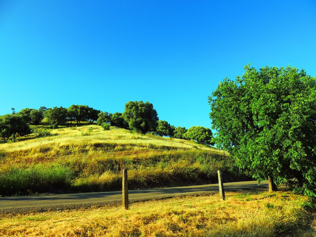 Foto de Medinat Al-Zahara (Córdoba), España