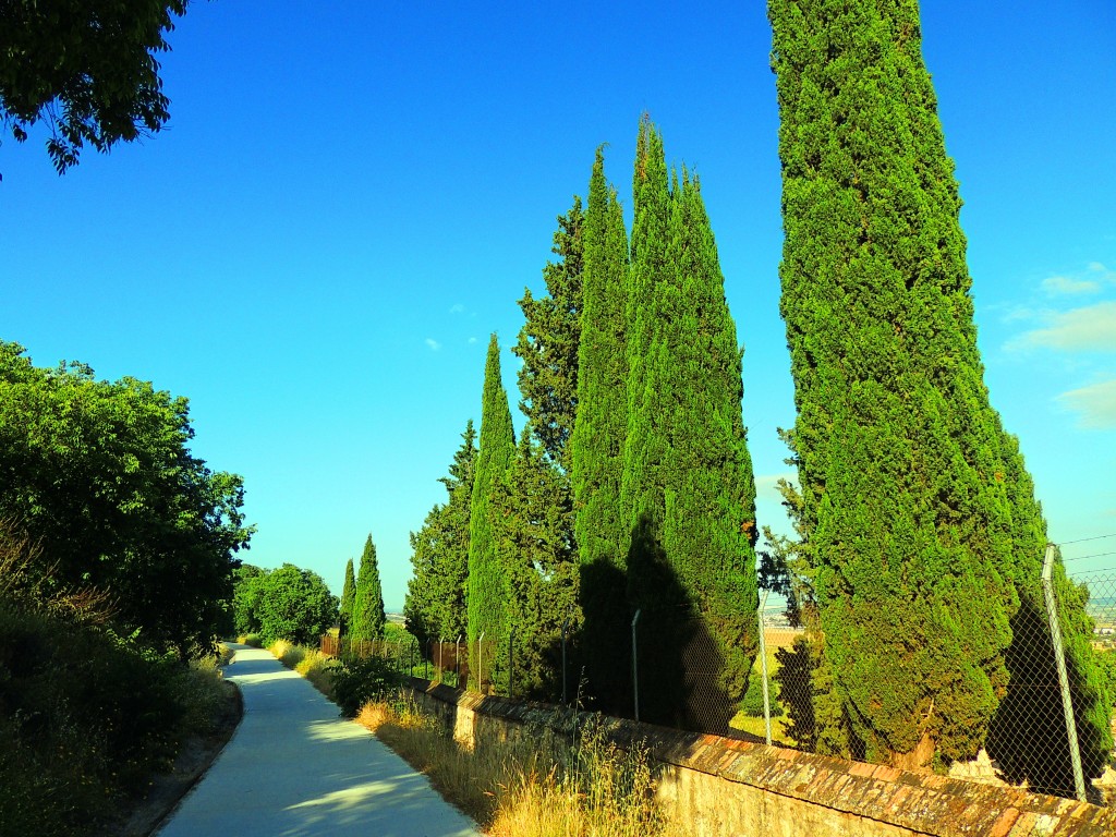Foto de Medinat Al-Zahara (Córdoba), España