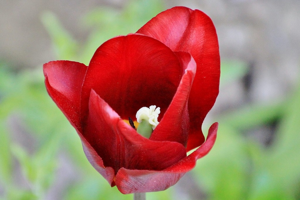 Foto: Vista del pueblo - San Juan de Serós (Huesca), España