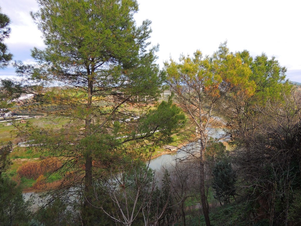 Foto de Montoro (Córdoba), España