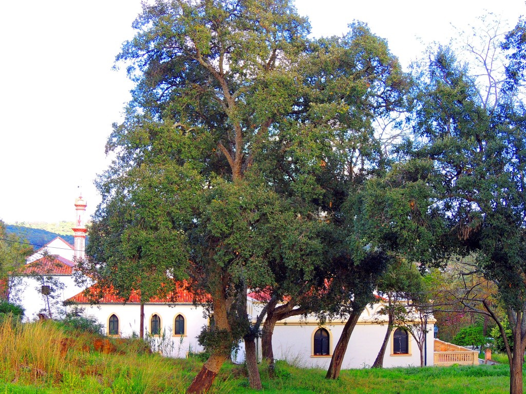 Foto de Castillo de Castellar (Cádiz), España