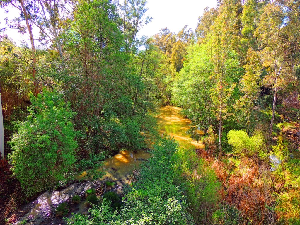Foto de Castillo de Castellar (Cádiz), España