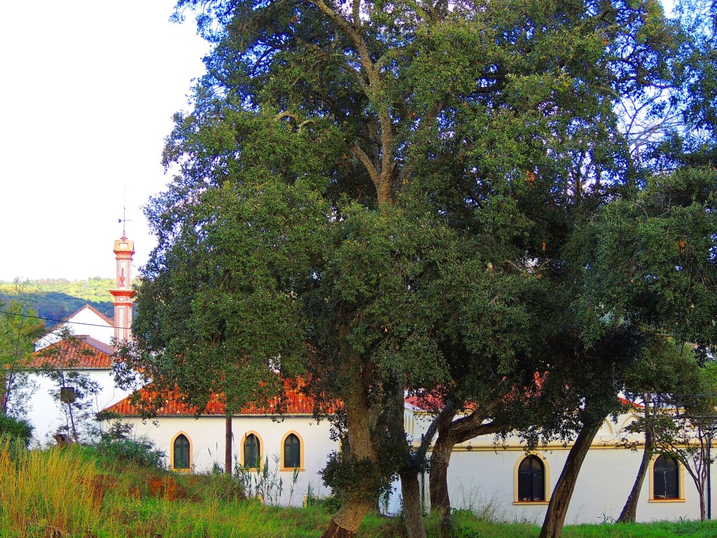 Foto de Castillo de Castellar (Cádiz), España