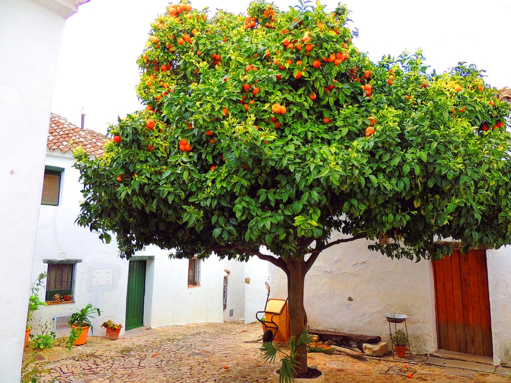 Foto de Castillo de Castellar (Cádiz), España
