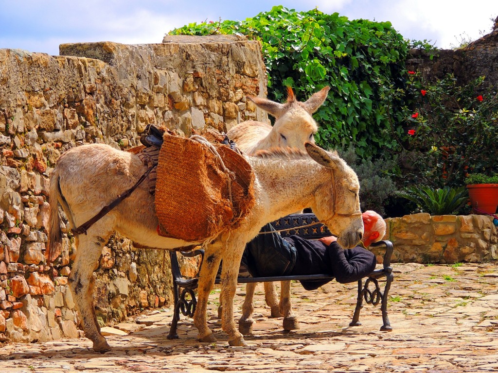 Foto de Castillo de Castellar (Cádiz), España