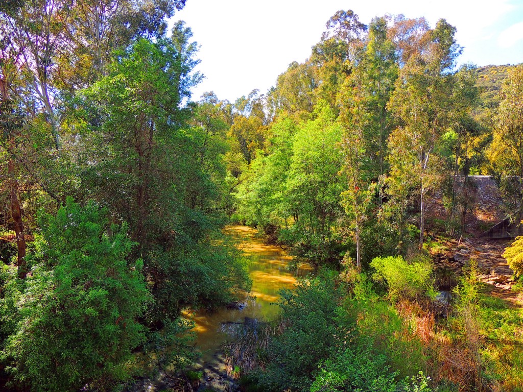 Foto de Castillo de Castellar (Cádiz), España