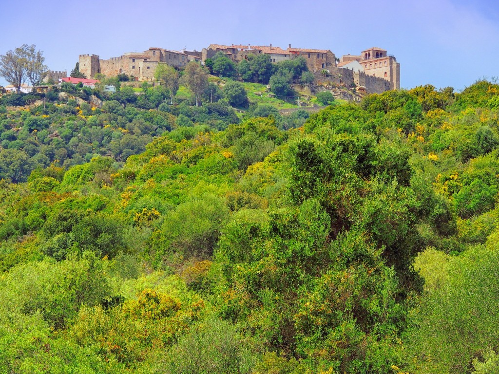 Foto de Castillo de Castellar (Cádiz), España