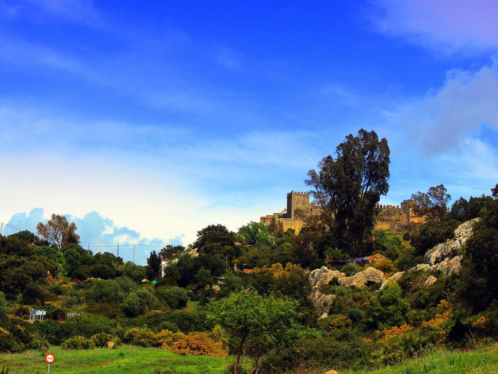 Foto de Castillo de Castellar (Cádiz), España