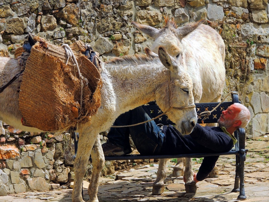 Foto de Castillo de Castellar (Cádiz), España