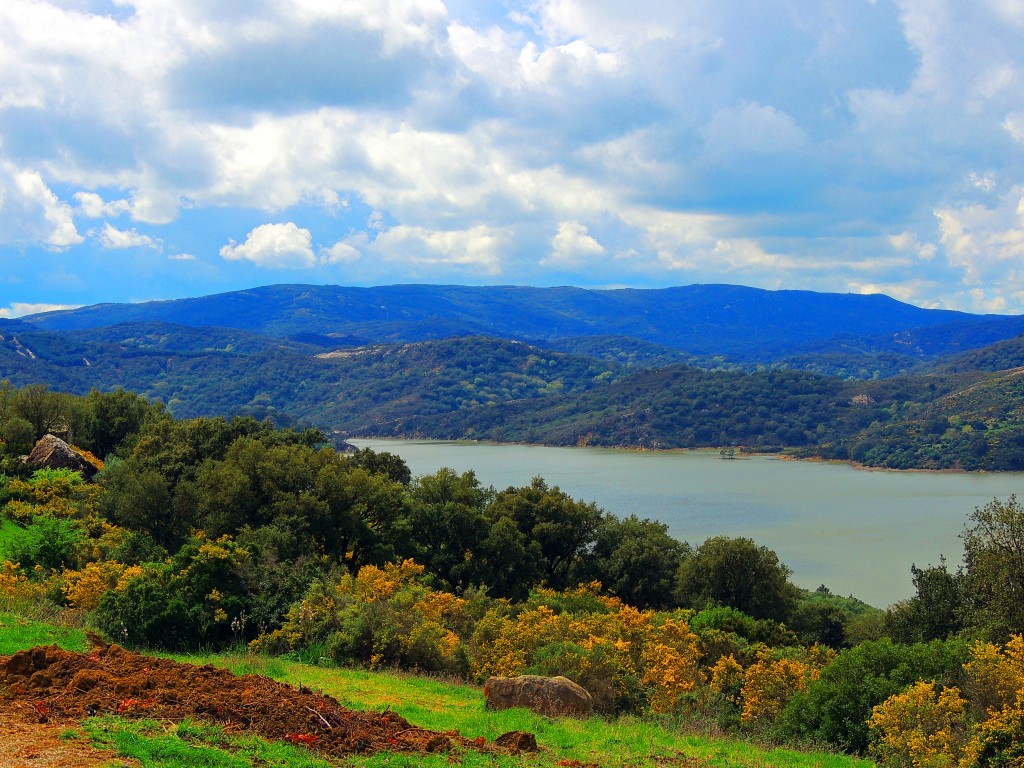 Foto de Castillo de Castellar (Cádiz), España