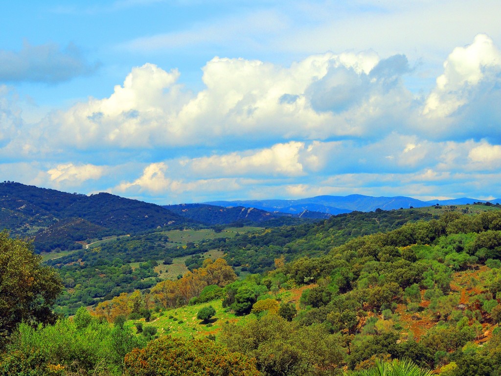 Foto de Castillo de Castellar (Cádiz), España