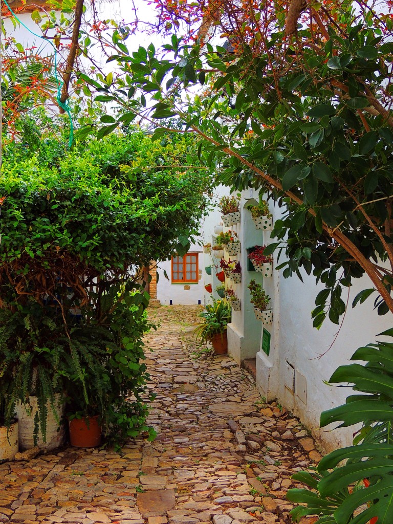 Foto de Castillo de Castellar (Cádiz), España