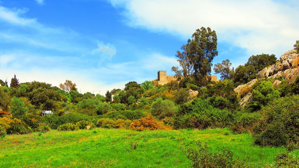 Foto de Castillo de Castellar (Cádiz), España