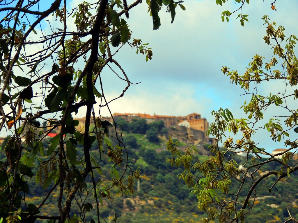 Foto de Castillo de Castellar (Cádiz), España