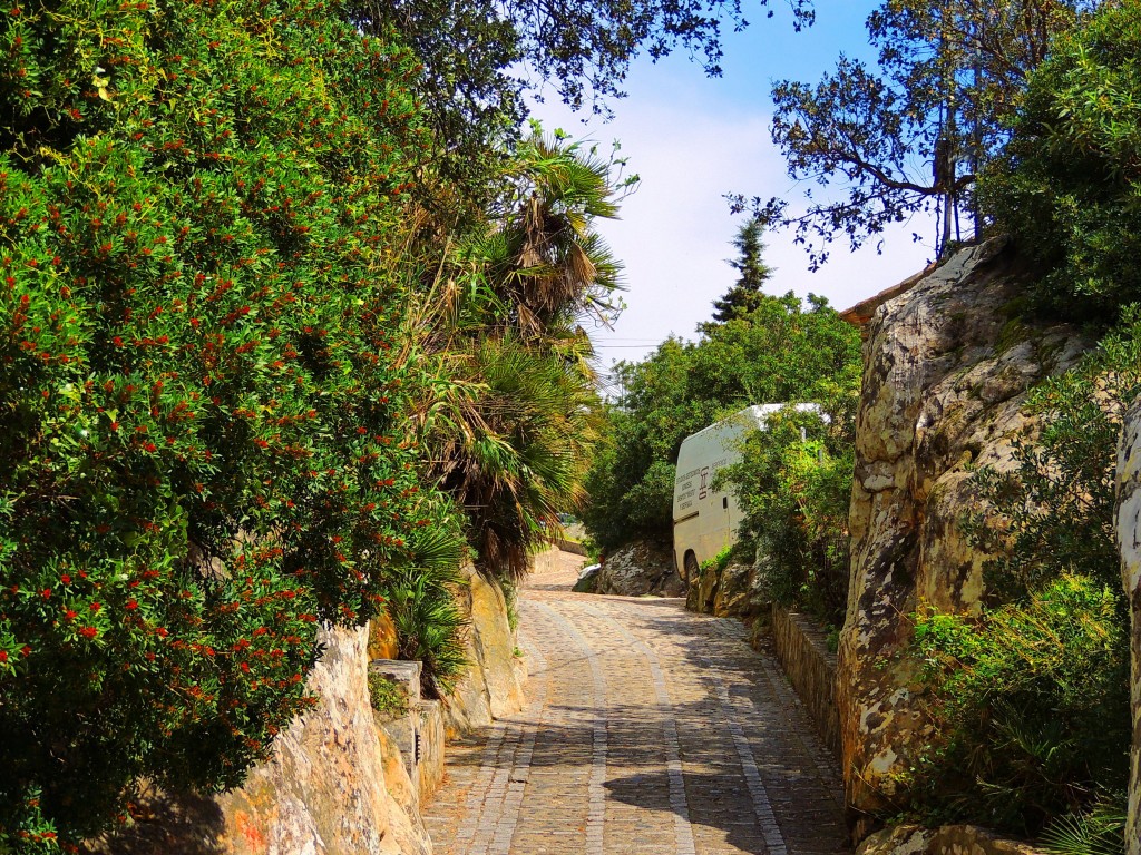 Foto de Castillo de Castellar (Cádiz), España