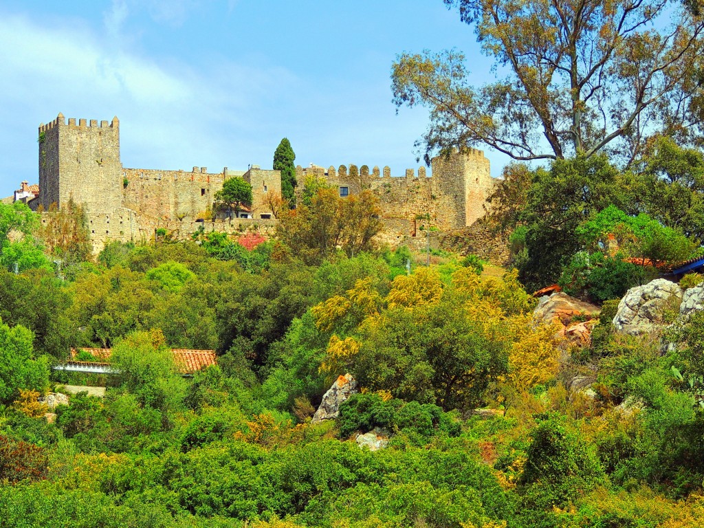 Foto de Castillo de Castellar (Cádiz), España