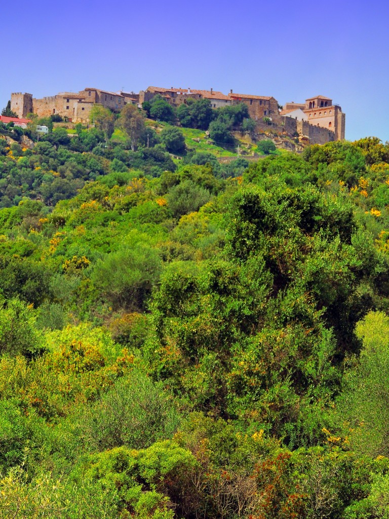 Foto de Castillo de Castellar (Cádiz), España