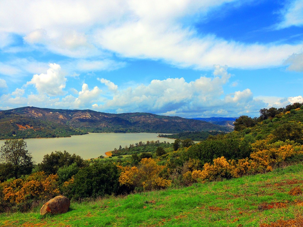 Foto de Castillo de Castellar (Cádiz), España