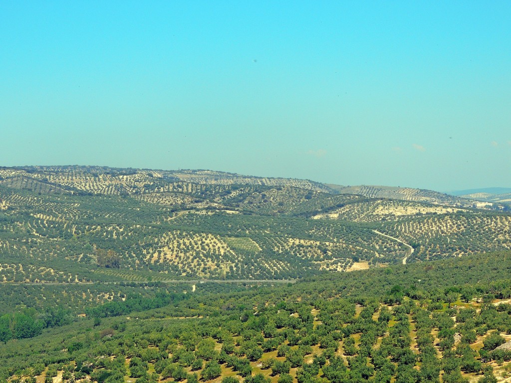 Foto de Zuheros (Córdoba), España