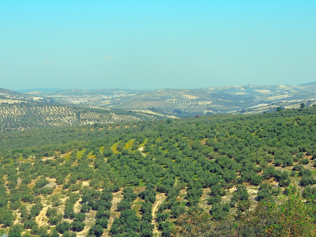 Foto de Zuheros (Córdoba), España