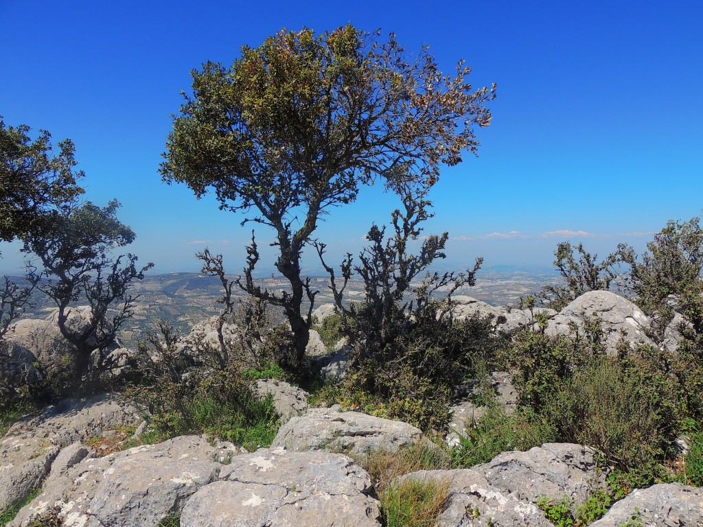 Foto de Zuheros (Córdoba), España