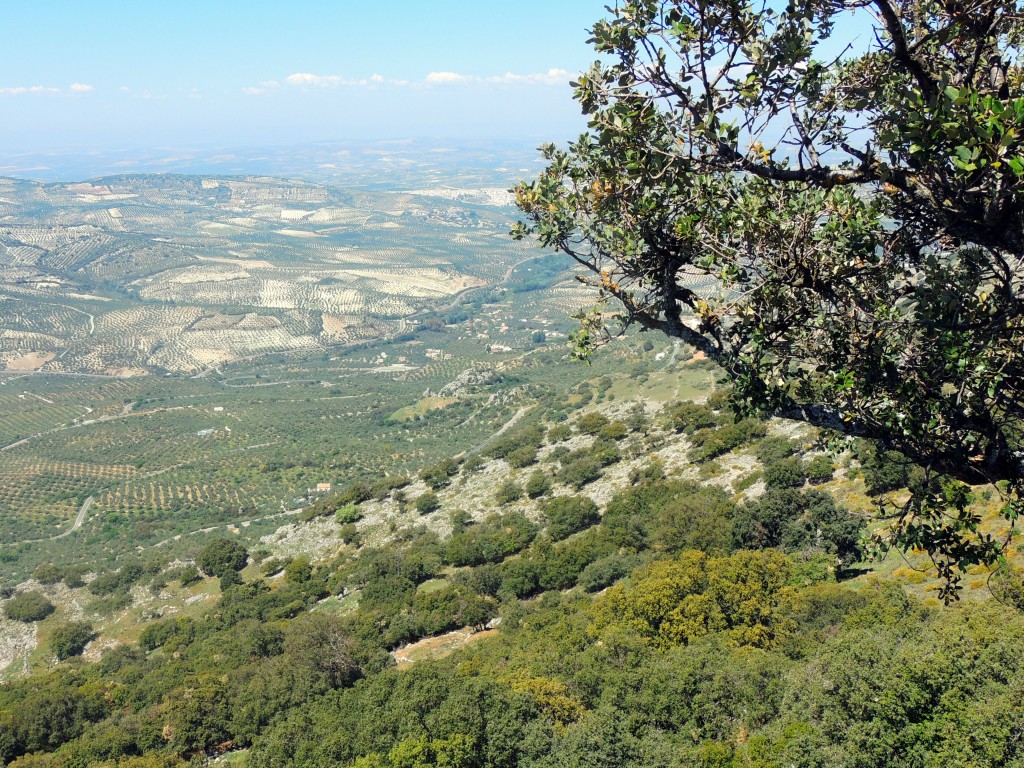 Foto de Zuheros (Córdoba), España