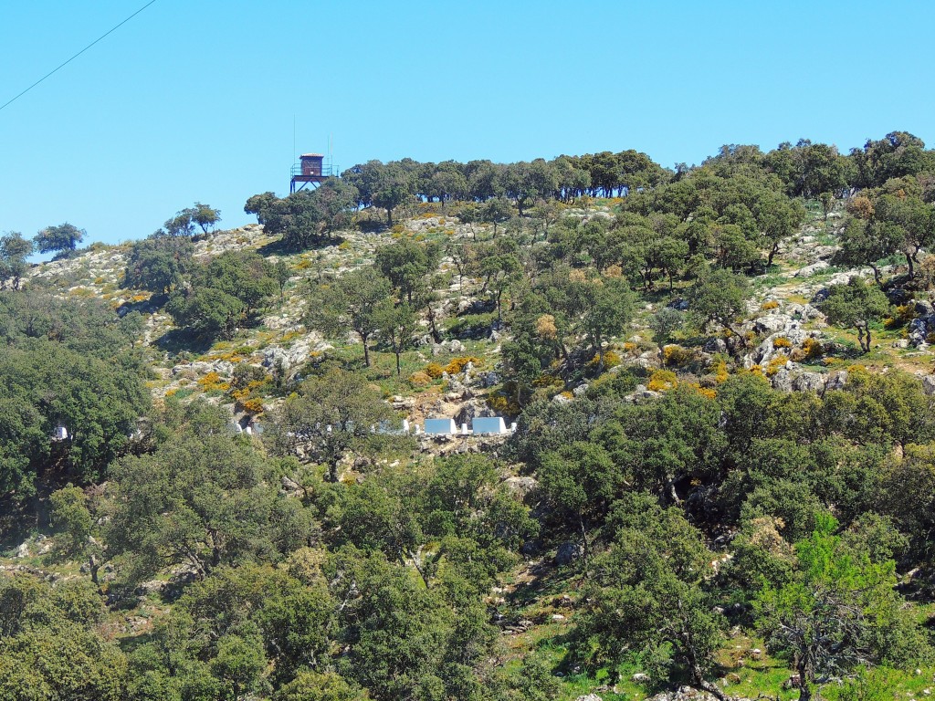 Foto de Zuheros (Córdoba), España