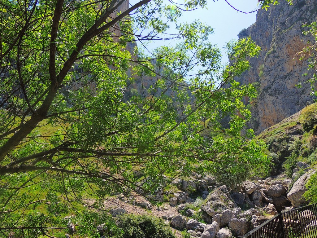 Foto de Zuheros (Córdoba), España