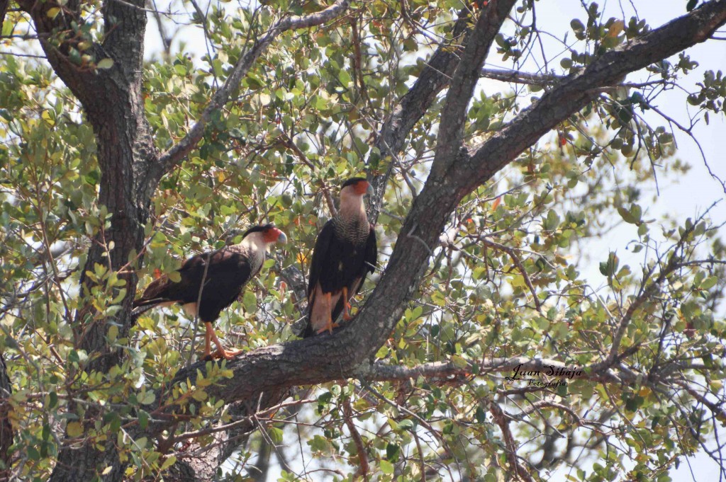 Foto de Guanacaste, Costa Rica