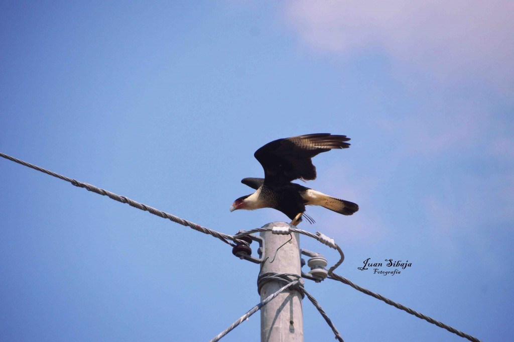 Foto de Guanacaste, Costa Rica