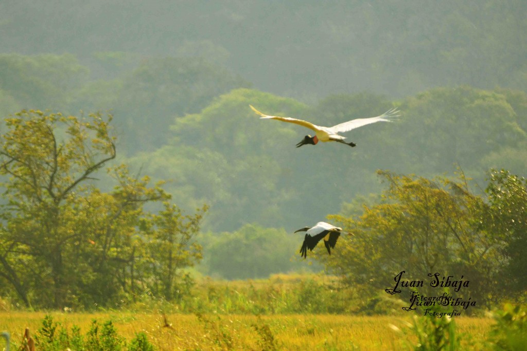 Foto de Guanacaste, Costa Rica