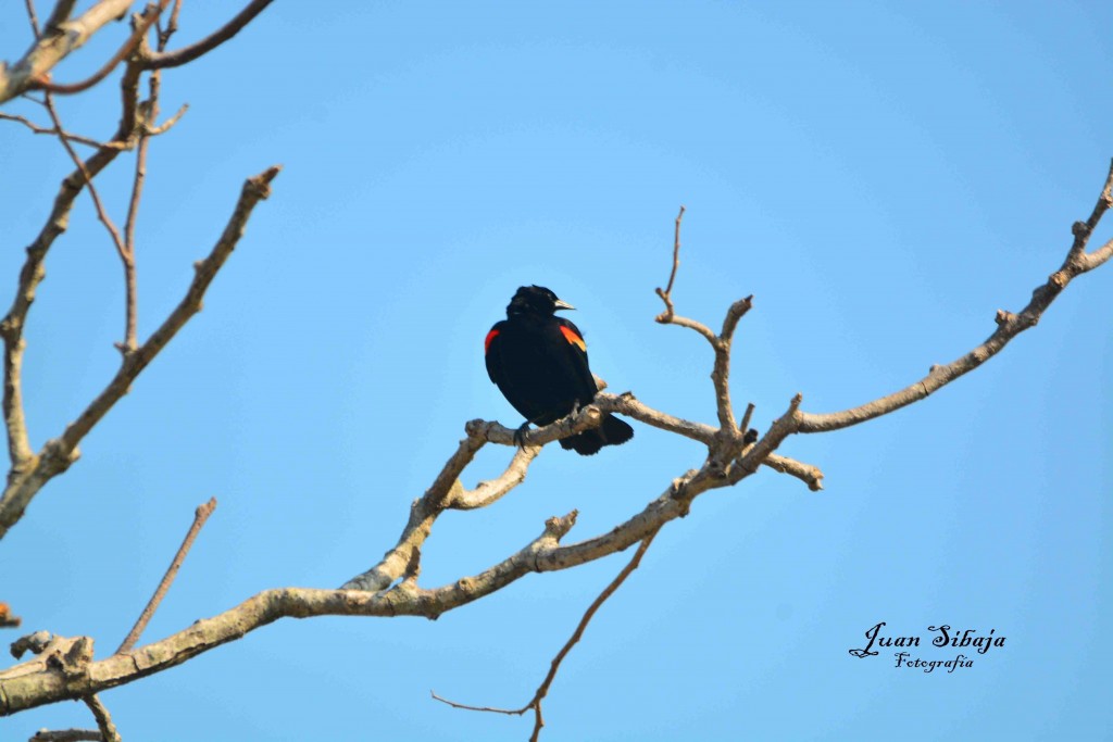 Foto de Guanacaste, Costa Rica