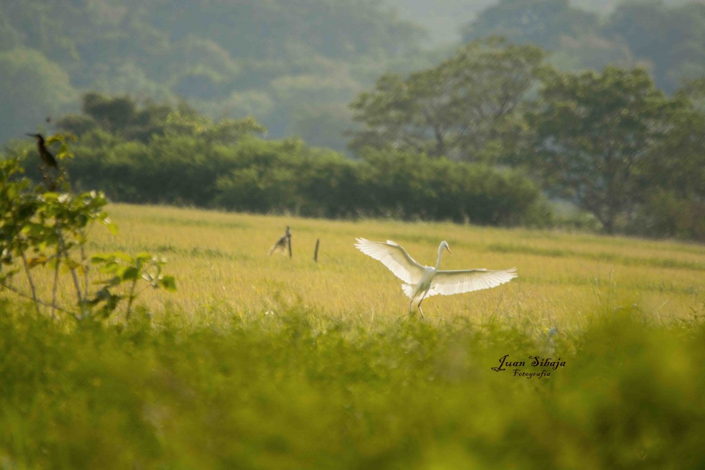 Foto de Guanacaste, Costa Rica